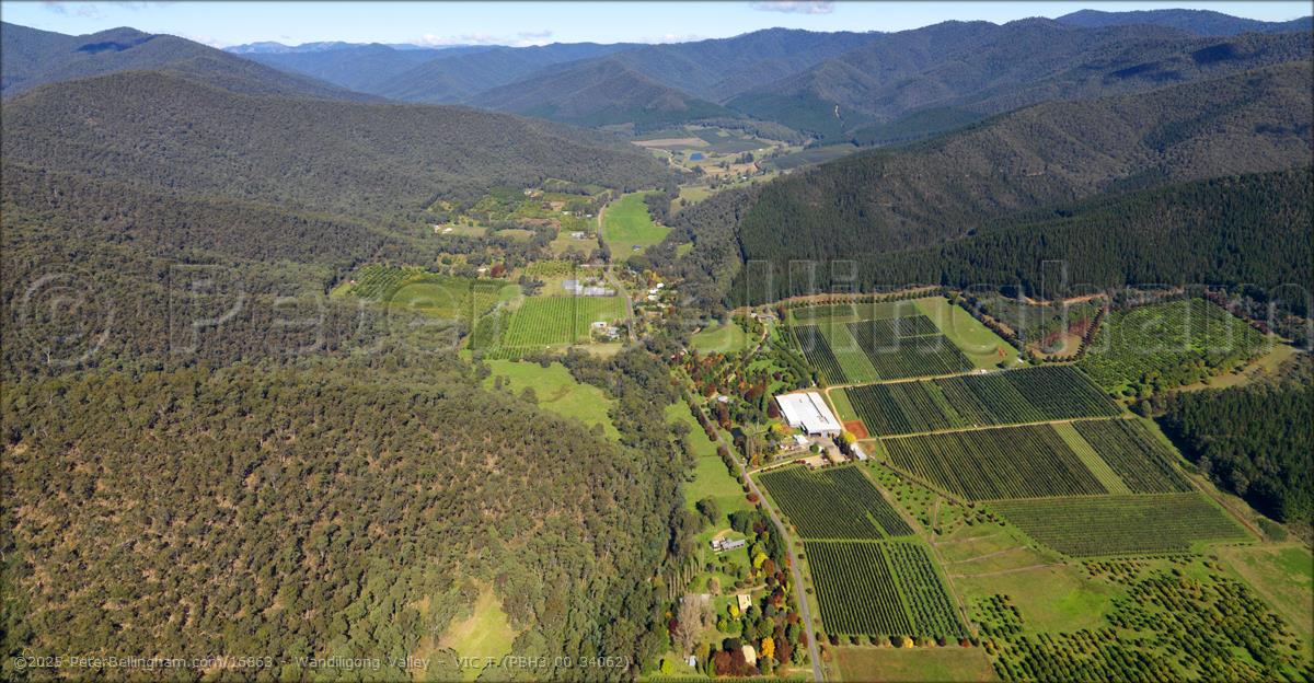 Peter Bellingham Photography Wandiligong Valley - VIC T (PBH3 00 34062)